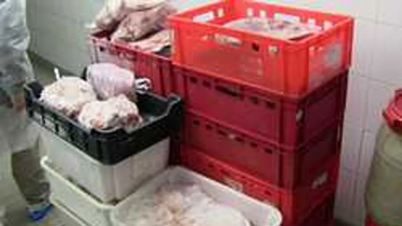 Borzasztó, amire bukkantak a Nébih ellenőrei egy marhavágás közepén