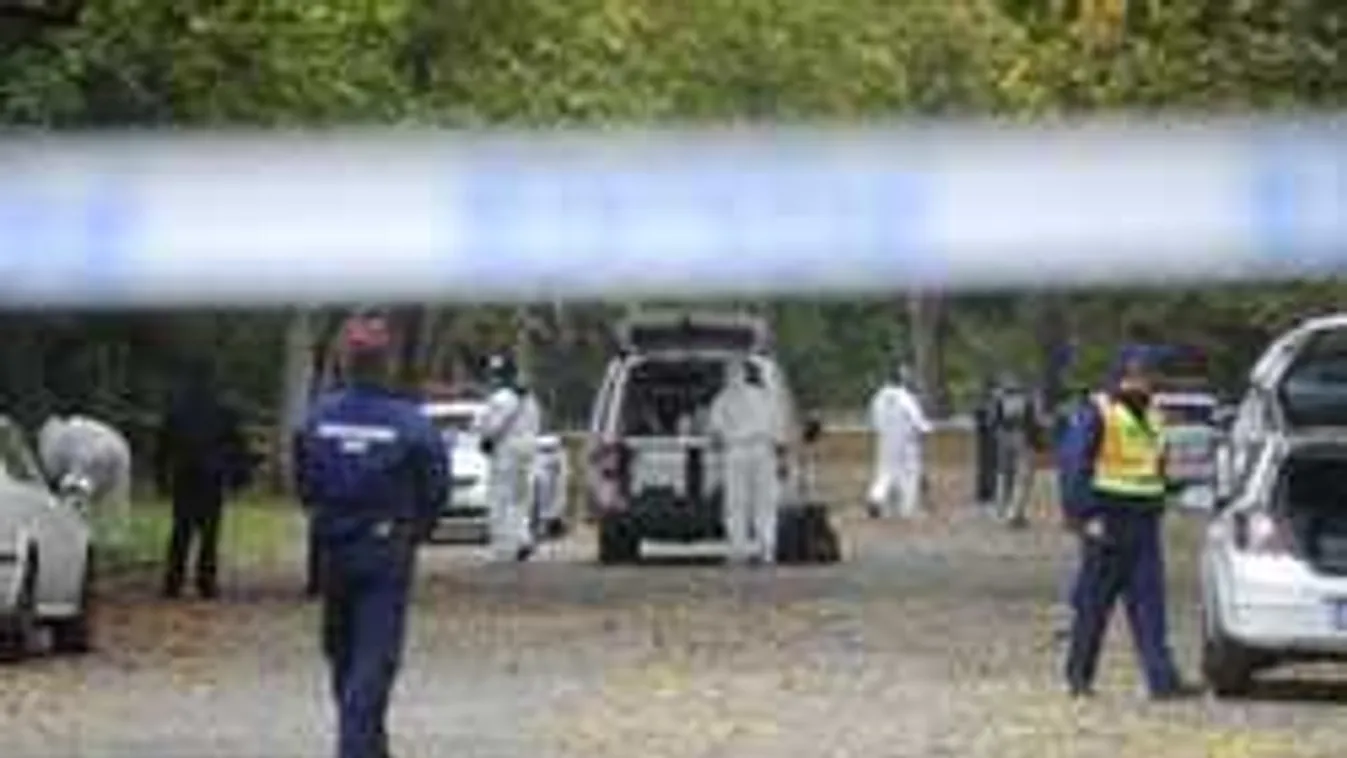 Szörnyű dolgokat árultak el a népligeti gyilkosról korábbi áldozatai