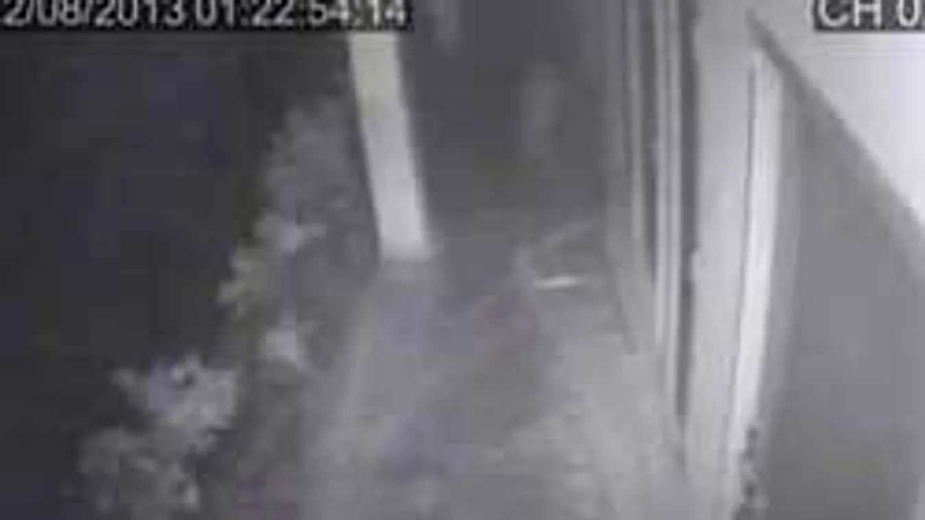 Sokkoló felvételtől jött rá a frász az internetre - ez durva...