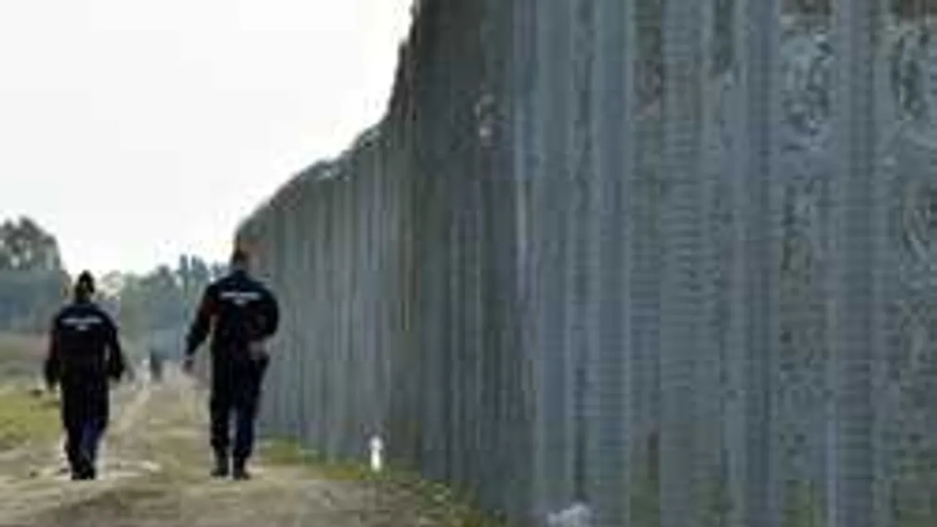 Fülön csípték a migránsokat