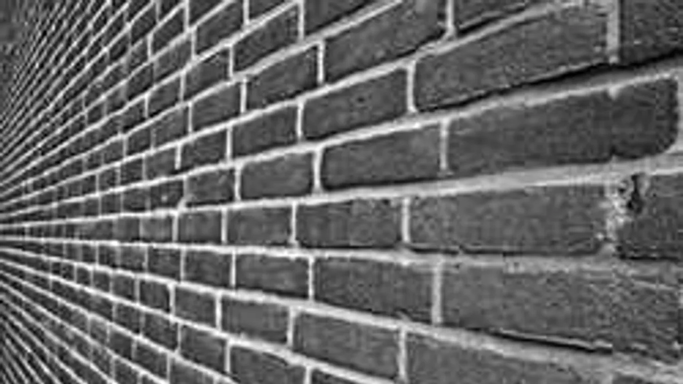 Ijesztő hang jött a falból, a szakértők is elborzadtak a látványtól