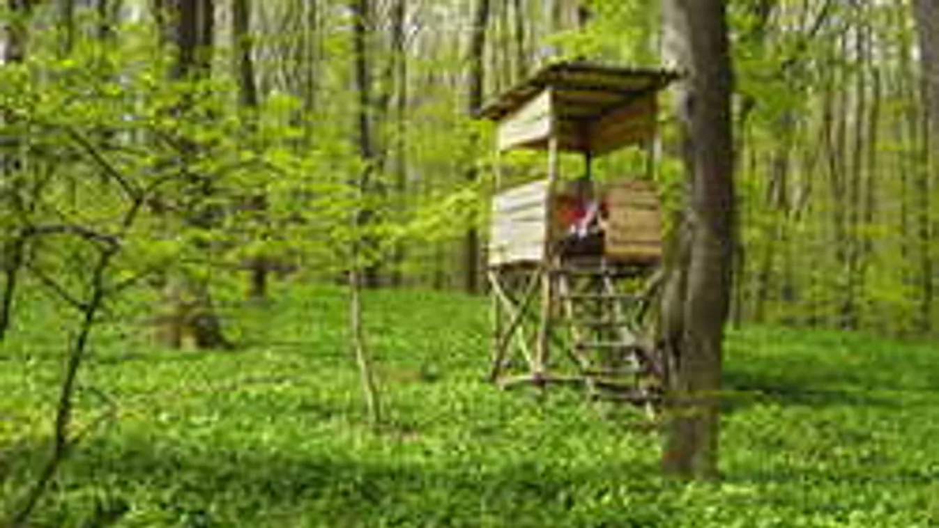 Újabb részletek a rejtélyes baranyai tragédiáról: megszólalt a férj