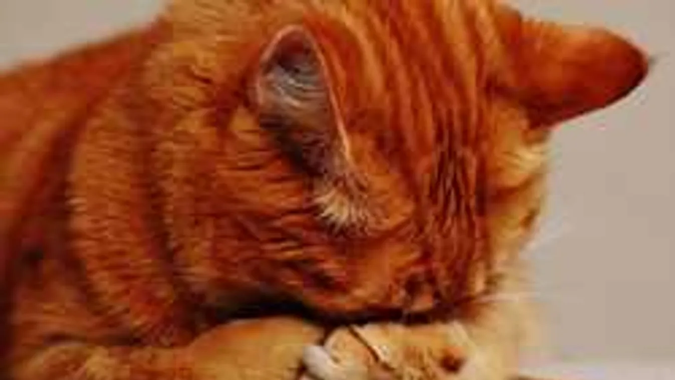 Közölték a meteorológusok mikor jön a jó idő, erre számíthatunk