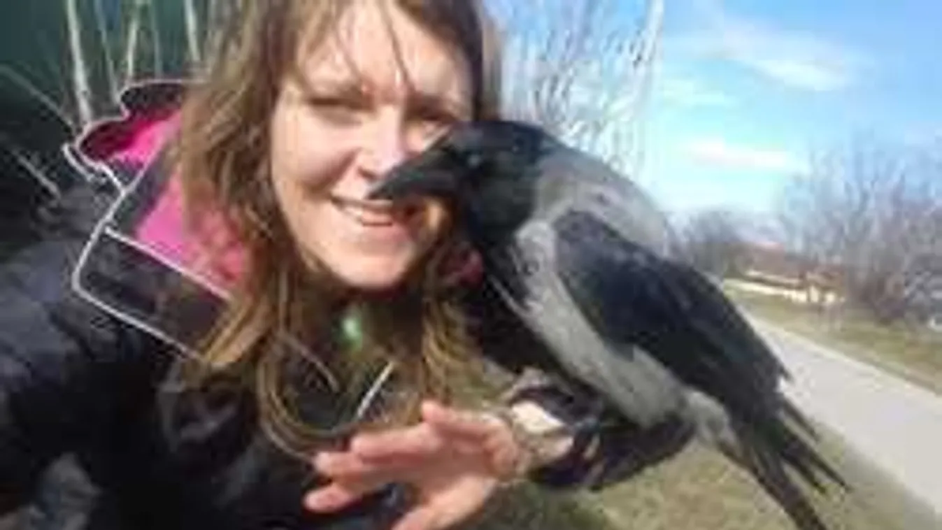 Elképesztő mesebeli történet, így tért vissza gazdájához a varjú