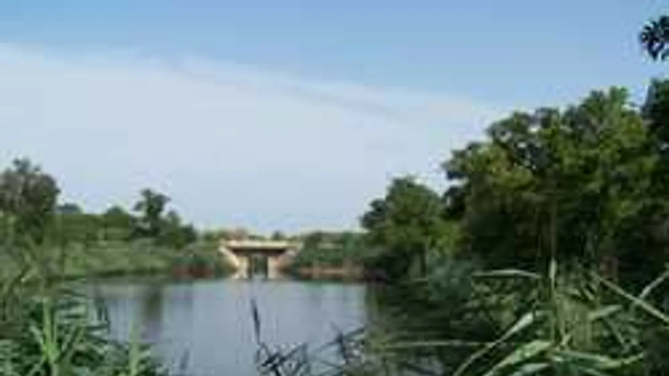 Holtan találták a négy hónapja eltűnt magyar nyugdíjast