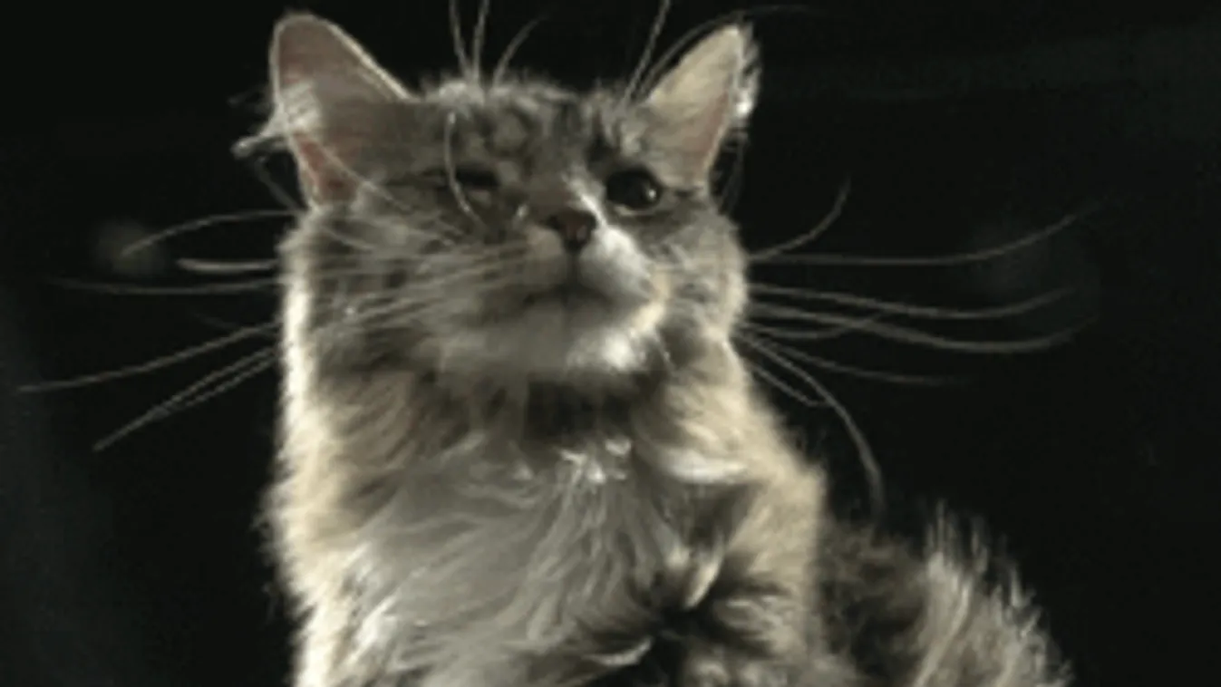 Esővel és szélviharral indul ma a reggel, aztán jön a csavar