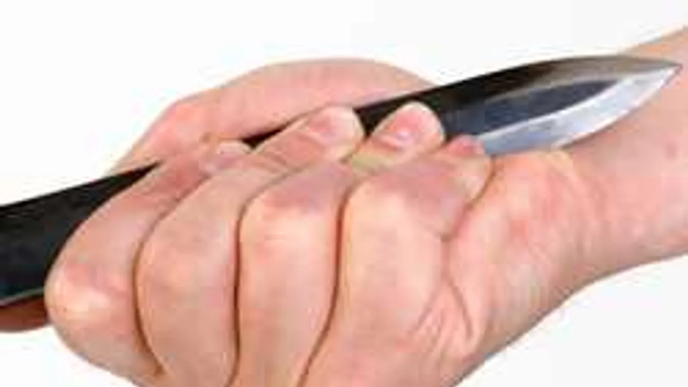 Ismerőse akarta leszúrni a kiskunmajsai házigazdát