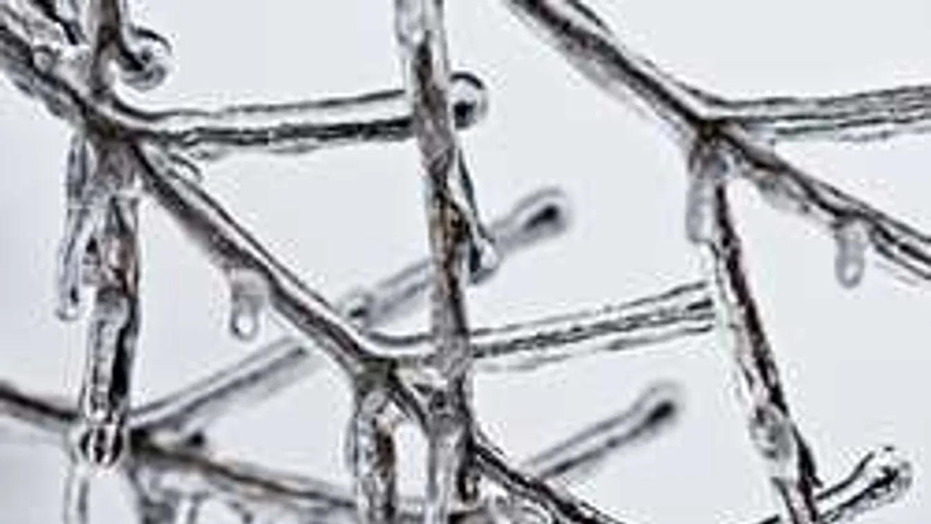 A Facebookon osztották meg: vannak, akik önfeledten tudják élvezni a telet