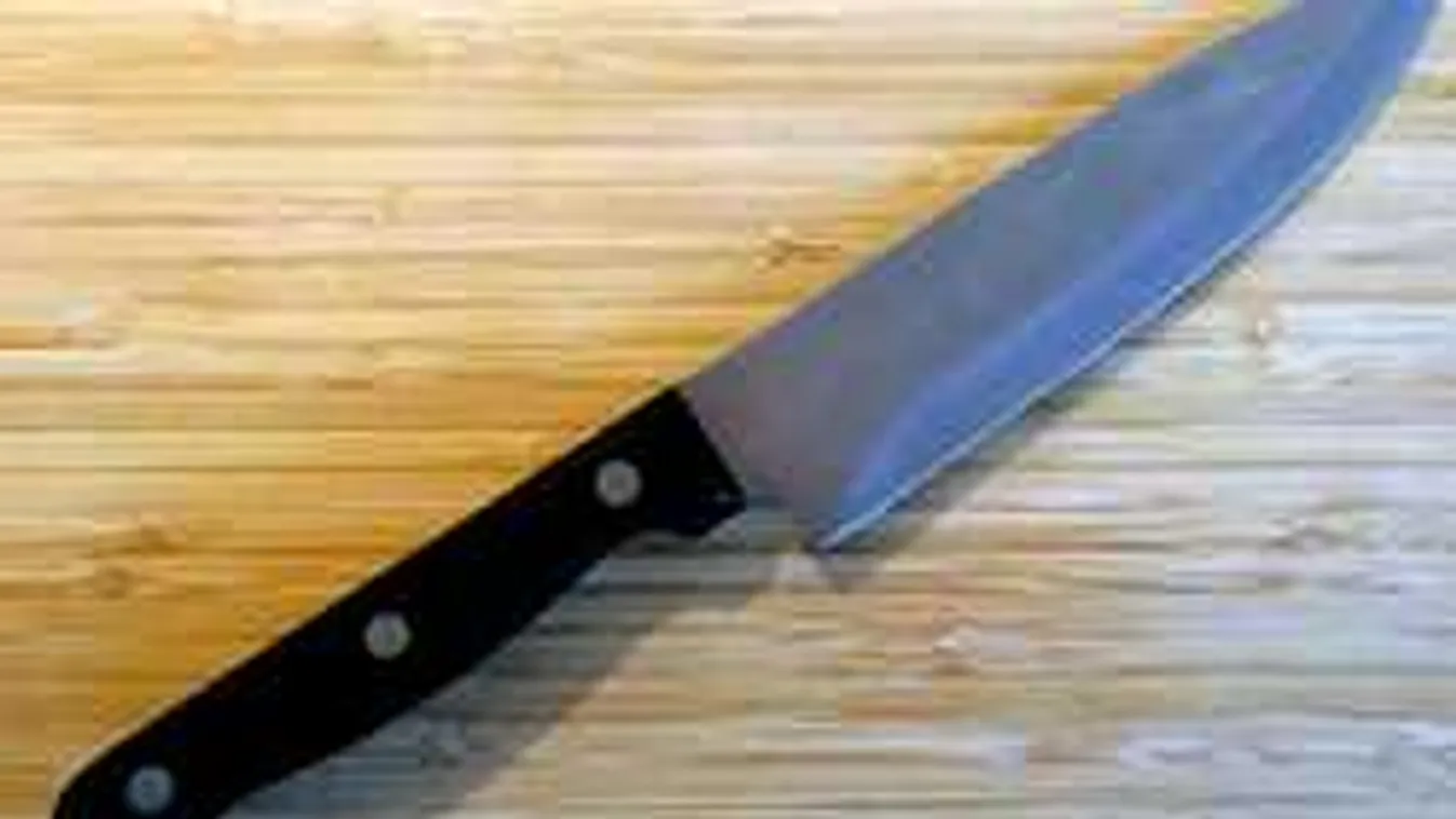 Vádat emeltek a kegyetlen budapesti gyilkos ellen