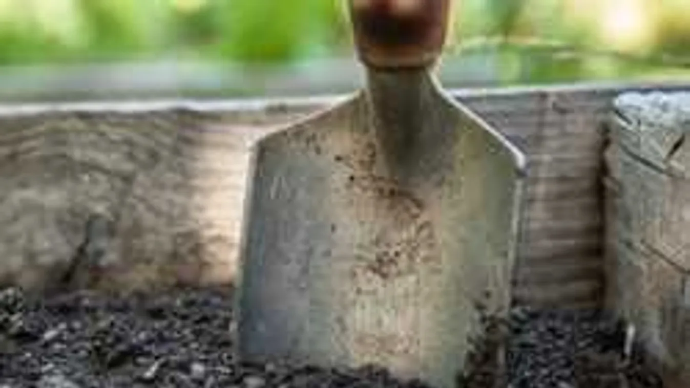 Ásóval támadt az alvó férfira a kegyetlen asszony