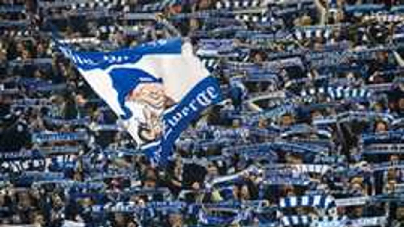 Balhé Dárdaiék meccsén, lelátón markolászta a micsodáját egy drukker