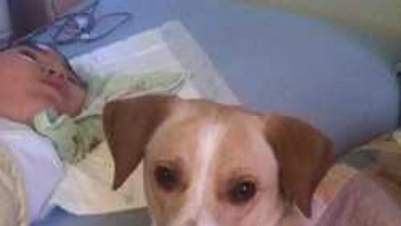 Elszakíthatják a nagybeteg kisfiút édesanyjától