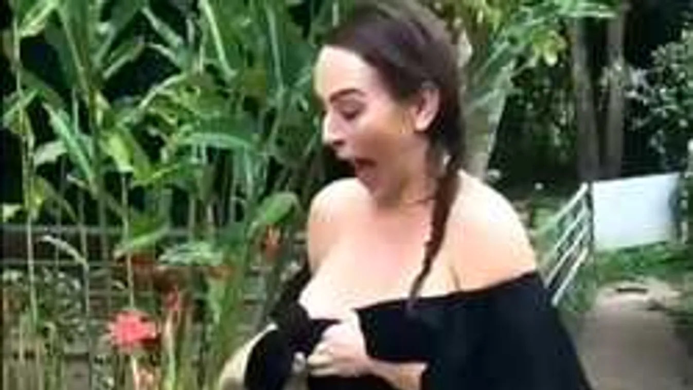 Így gerjedtek a bombanők mellére az állatok - videóval