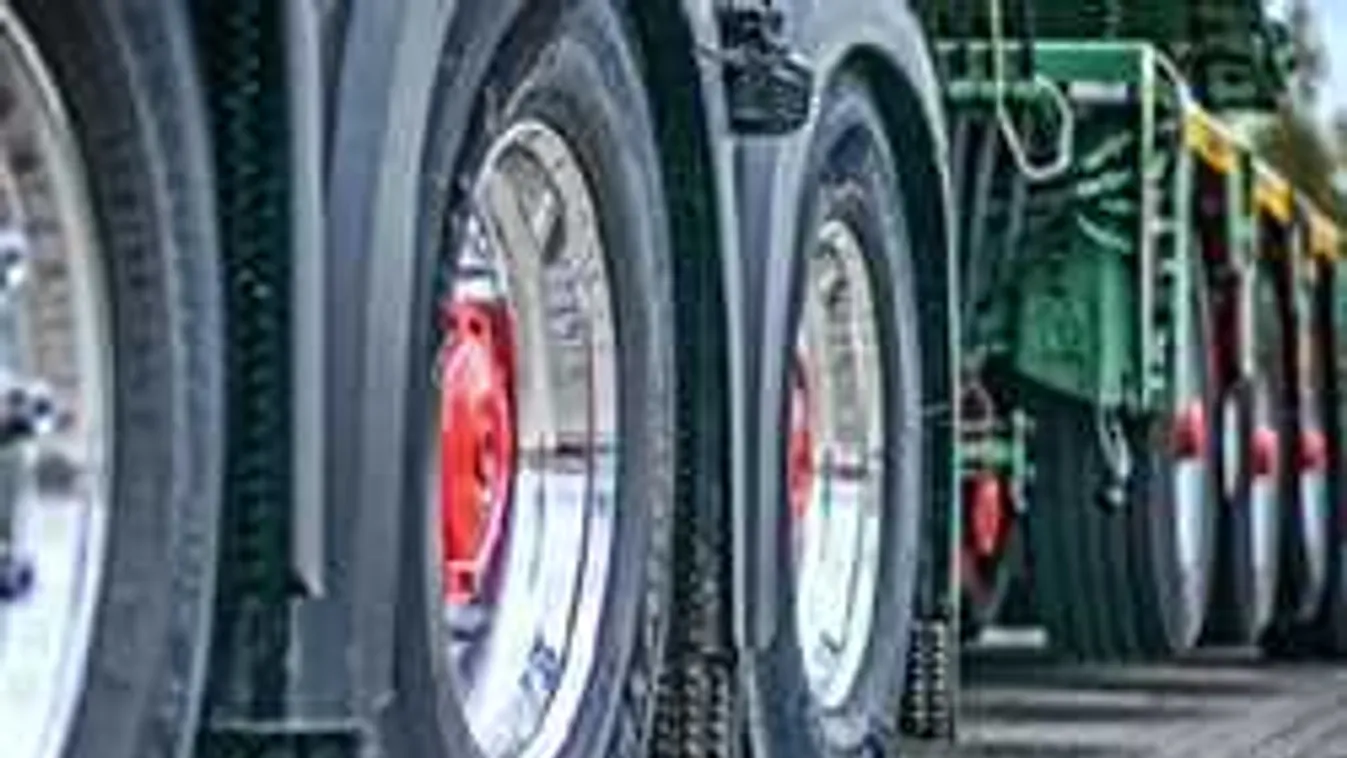 Rendőrjárőrre támadt Brüsszel mellett 30 bevándorló