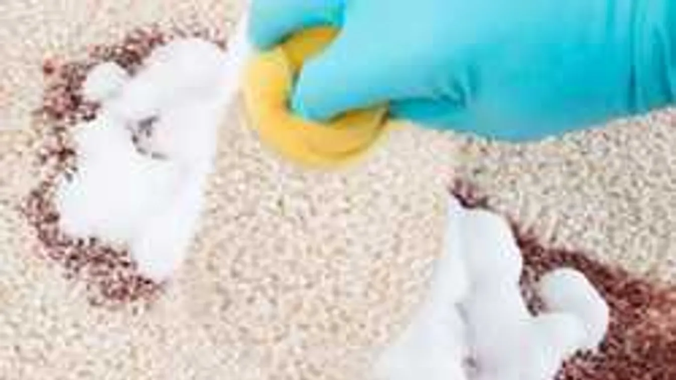 Koszos a szőnyegpadlód? Íme a legjobb trükkök!