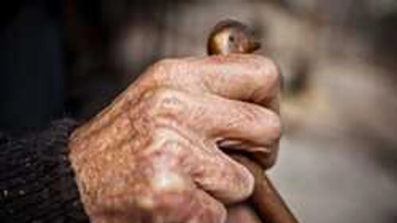 Négy órát feküdt a hóban az idős lábatlani férfi - nem tudták megmenteni