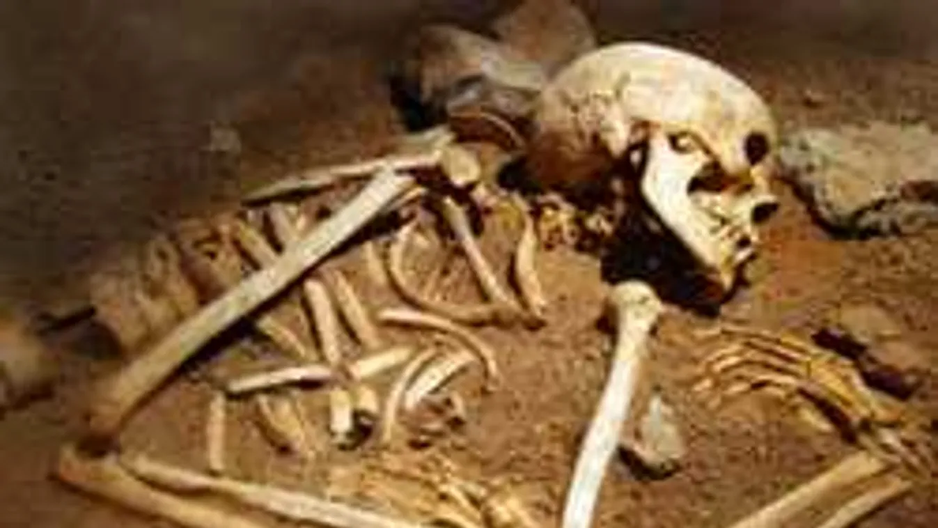 Több ezer csontra bukkantak, emberek maradványait találták meg