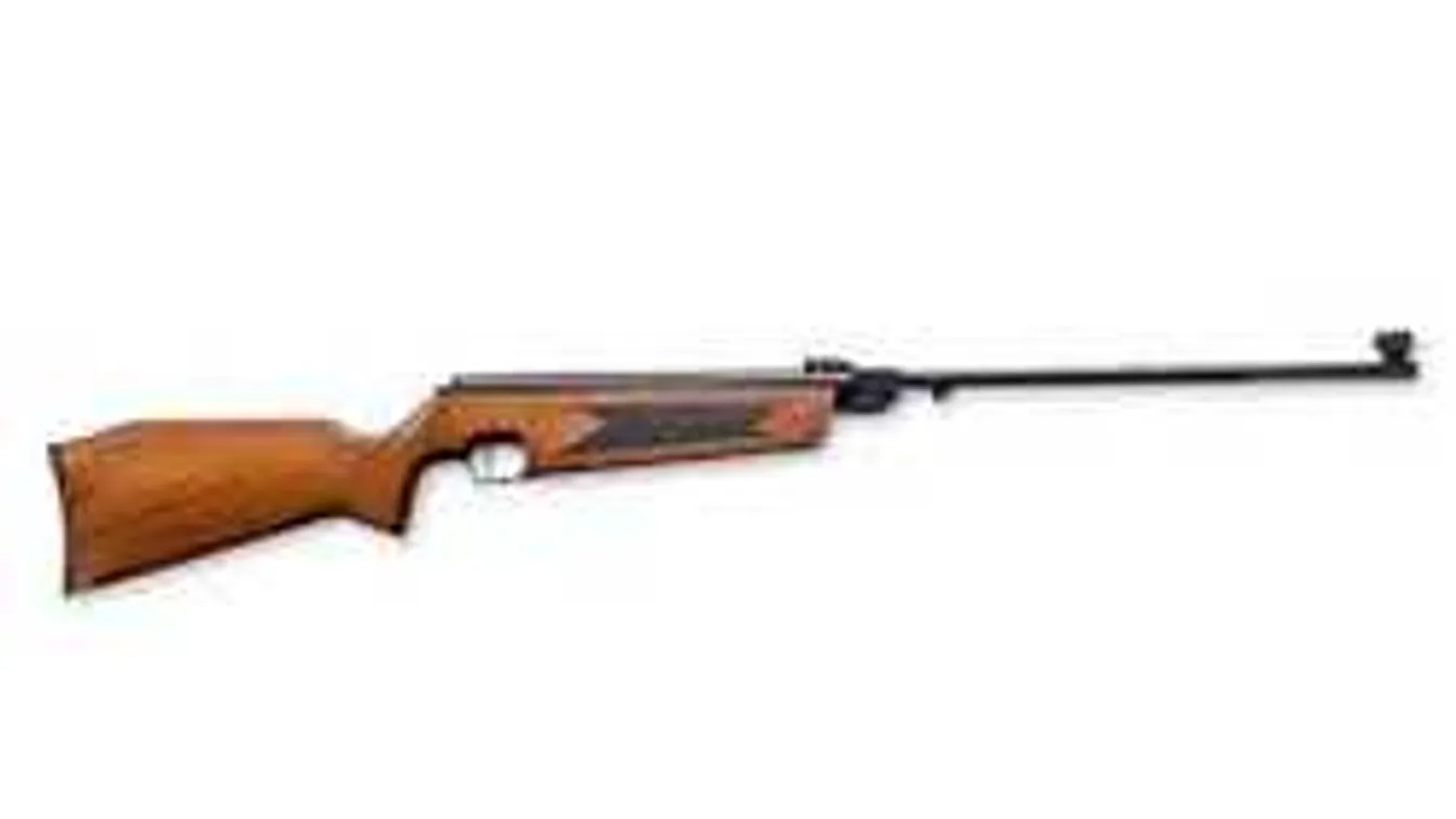 Döbbenetes részletek: kisgyereket is hátba lőtt a fehérvári orvlövész