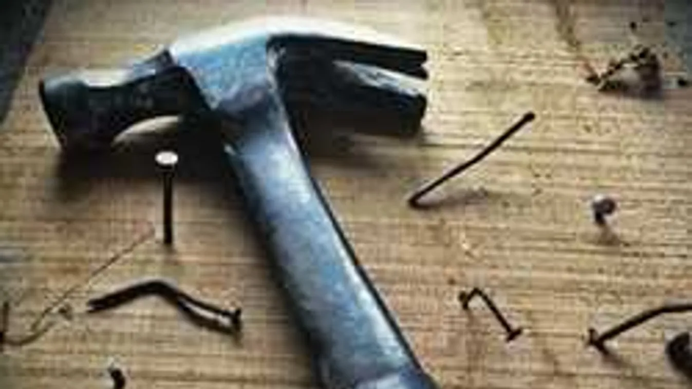 Durva, mit tervezett a saját kutyájával ez a hevesi férfi