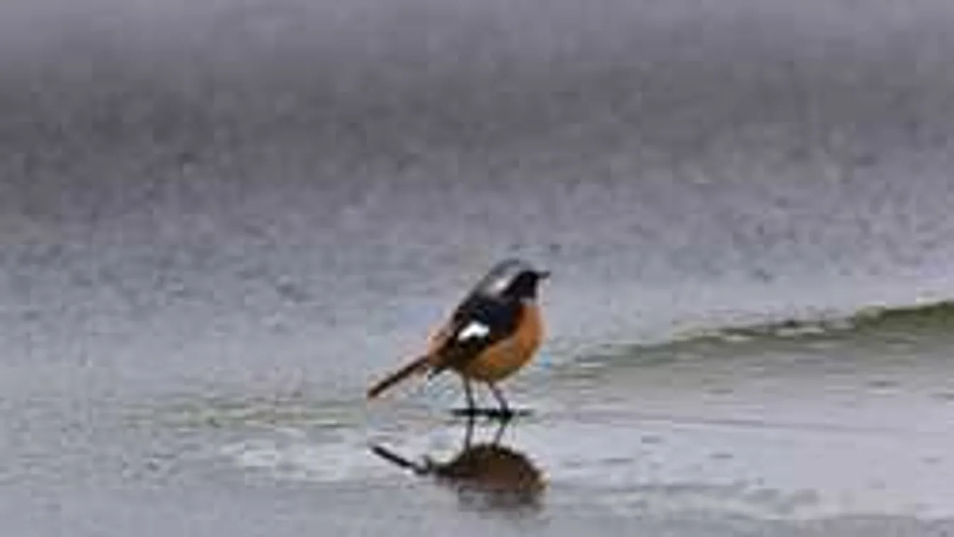 Riasztást adtak ki a zivatarok miatt, itt van most viharveszély