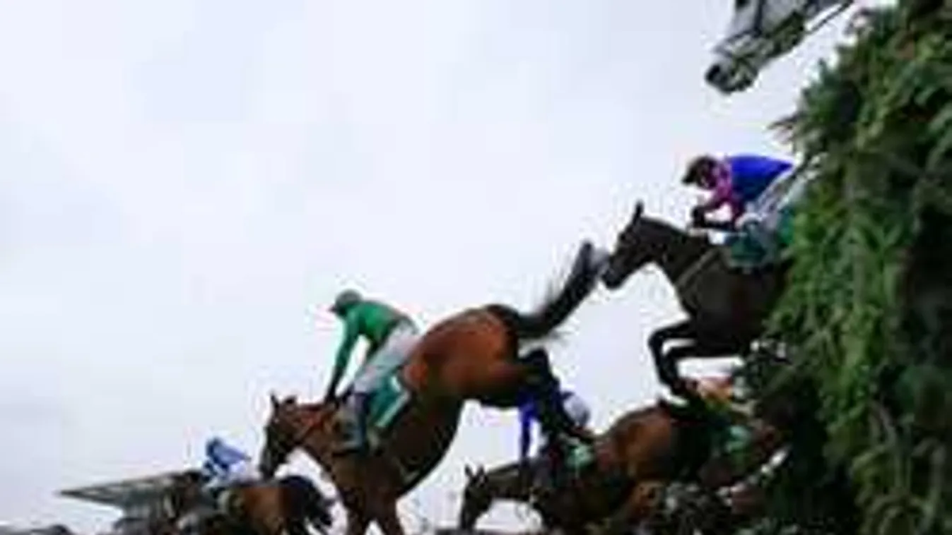 Durva jelenet a lóversenyen, ennyire lealjasodtak a részeg nők - Fotó