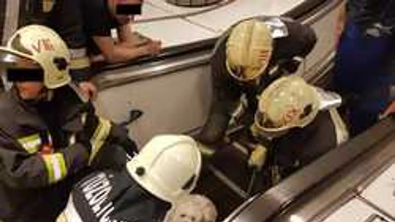 Végigsírta a mentést ez a mozgólépcsőbe szorult budapesti kutya - Fotó