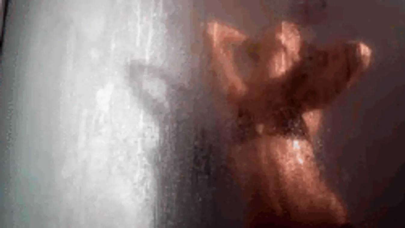 Zuhanyzás közben készültek pikáns lesifotók a topmodellről