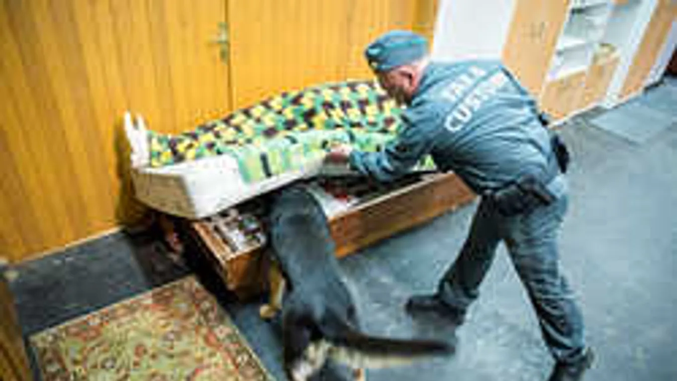 Nagyon durva, mire képesek a NAV keresőkutyái