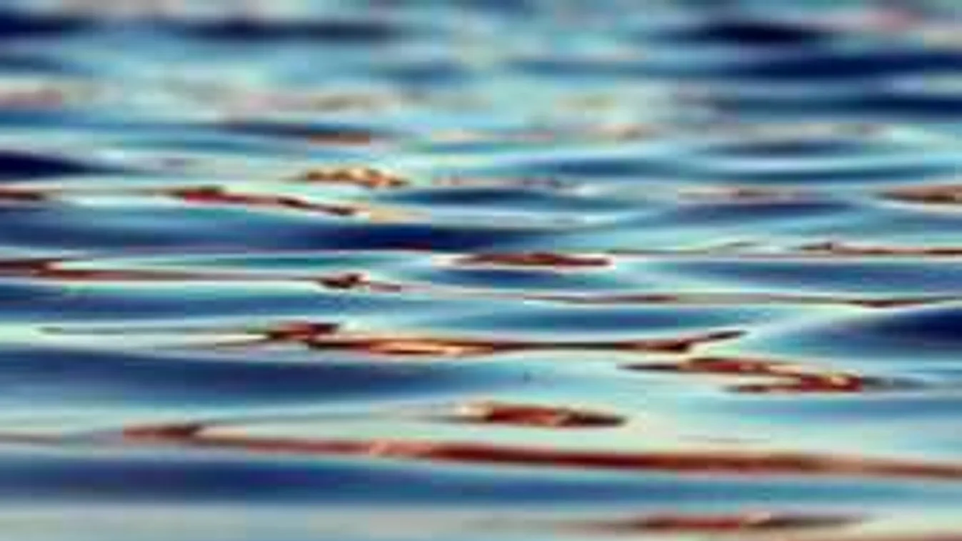 Felfordult a horgász gyomra, emberi holttest akadt a horgára a Vágban