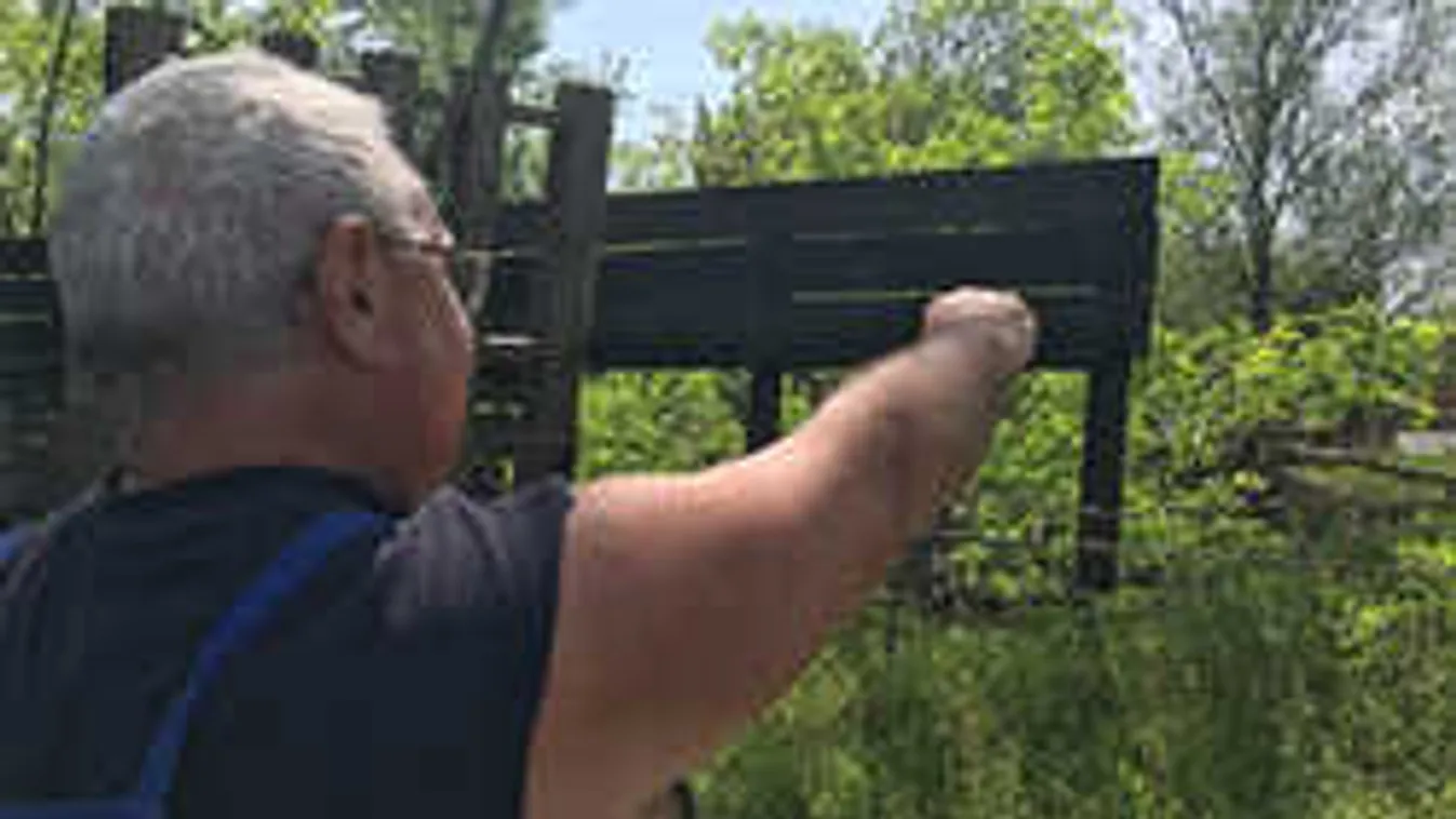 Győri emberrablás, megszólalt a gyanúsított szomszédja