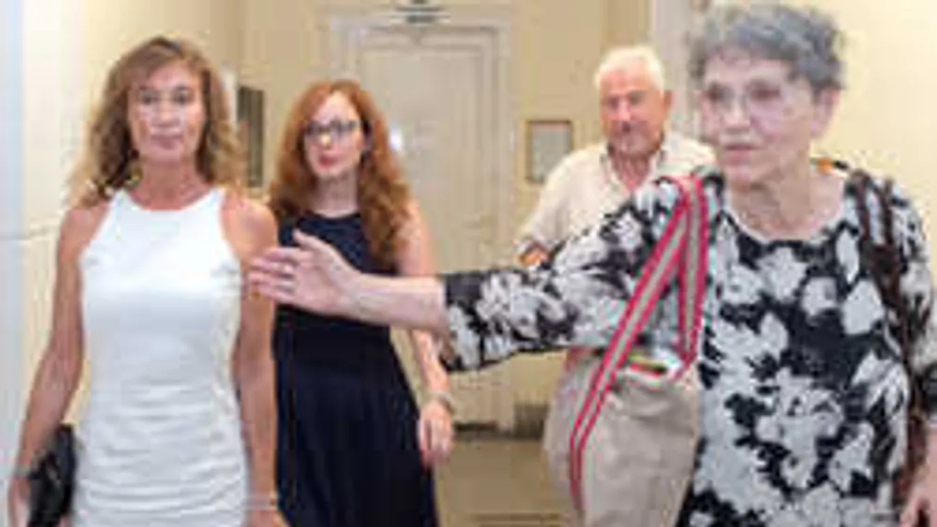 Óriási fordulat, döntött a bíróság Pártos gyerektartásának ügyében