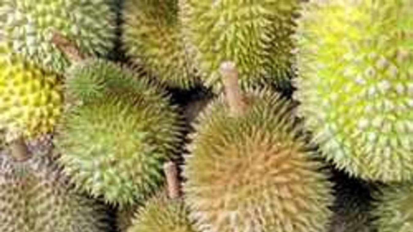 Tűzoltók ürítették ki az egyetemet, döbbenet mi okozott pánikot