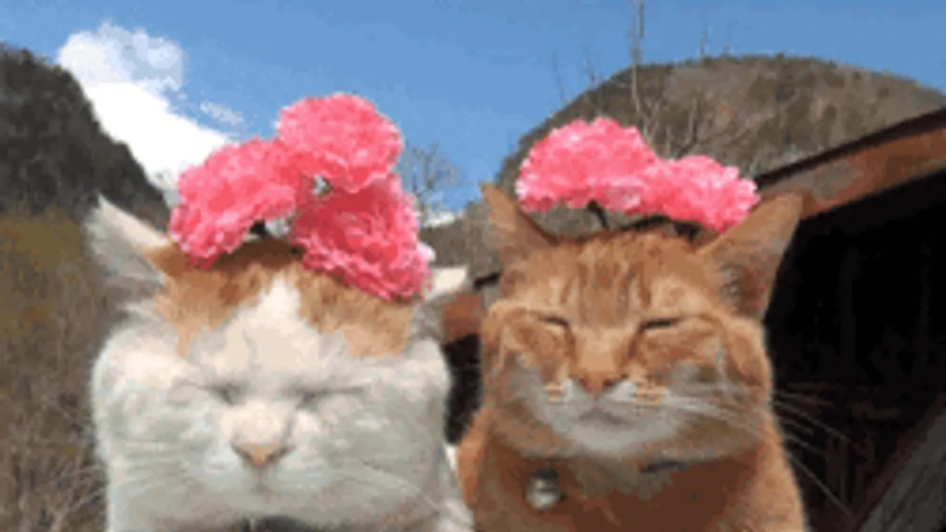 Váratlan meglepetést hoz a hétvége, erre készülj