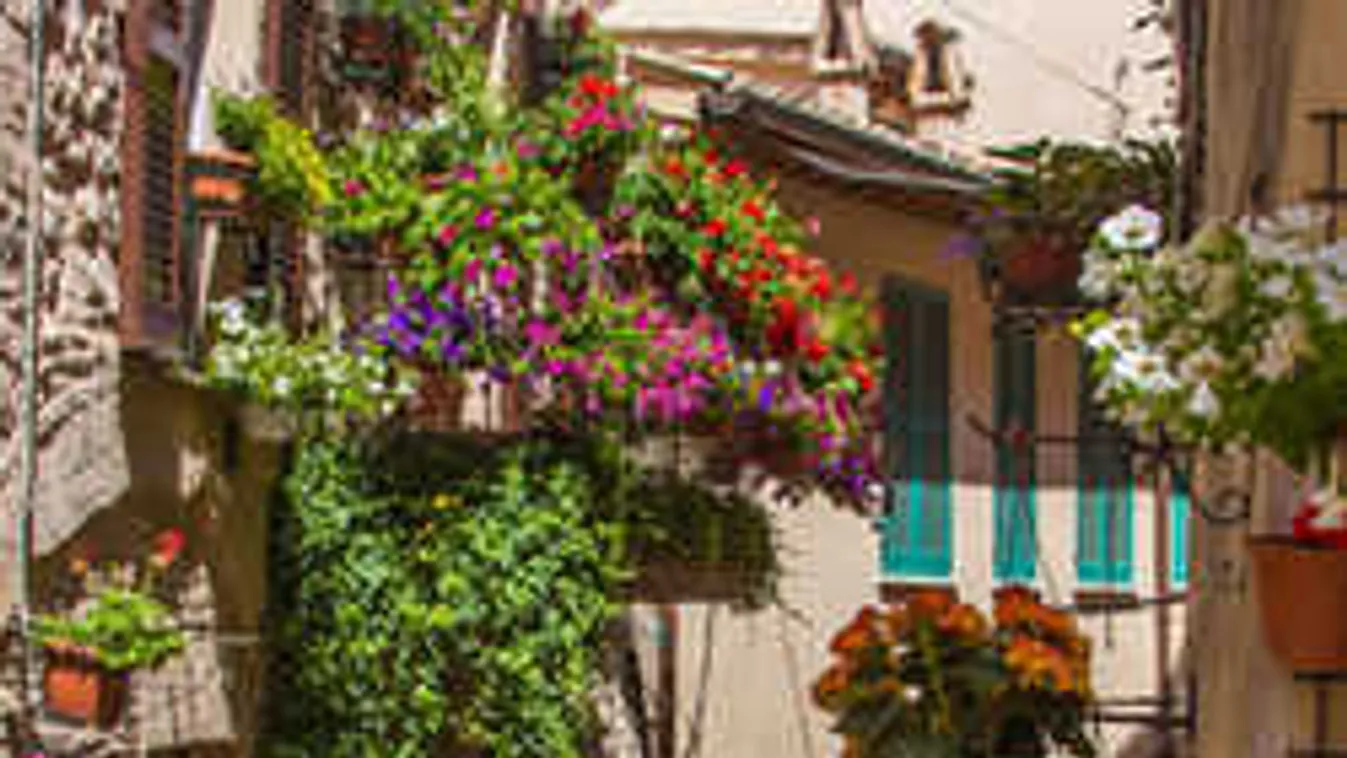 Árnyékos és pici az erkélyed? Ezeket a virágokat érdemes megvenned