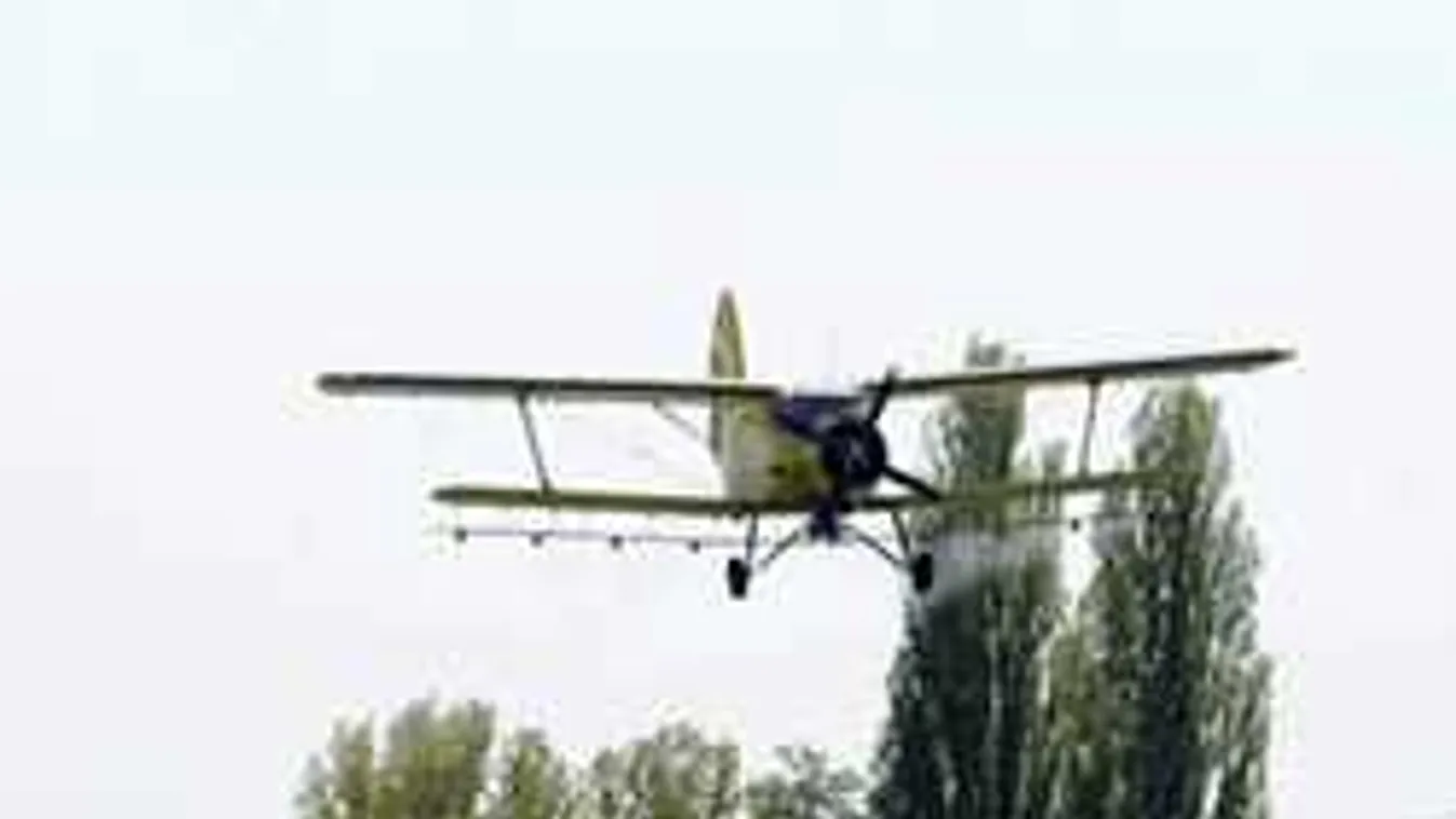 Kezdődik a rovarinvázió: Menetelnek a hangyák, kikeltek a szúnyogok