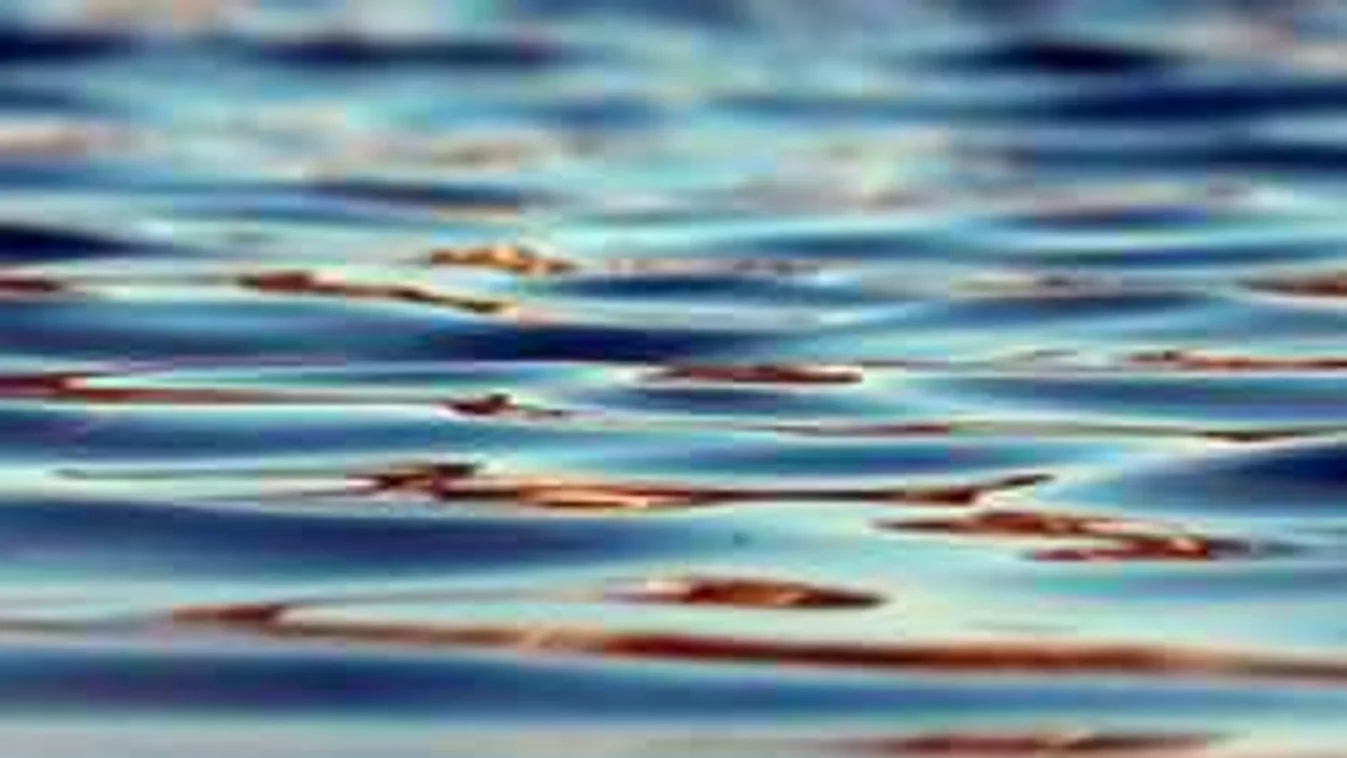 Tovább bonyolódik az ügy,ez derült ki a Fertő tóban talált holttestről