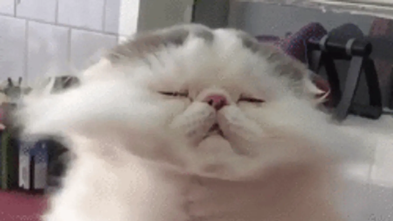 Durva szélvihar teszi tönkre a meleget, mutatjuk a veszélyzónákat