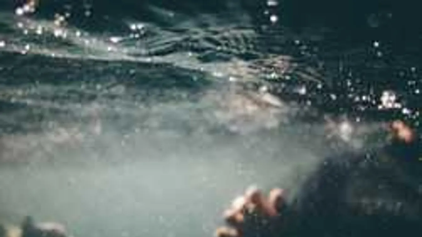 Az erőműnél húzták ki a vízből az eltűnt férfi holttestét