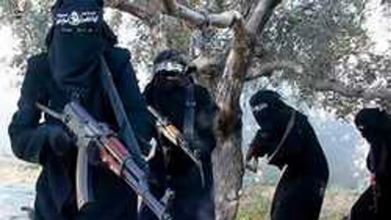 Így iktatták ki az öngyilkos merénylőt a hős katonák! - videó