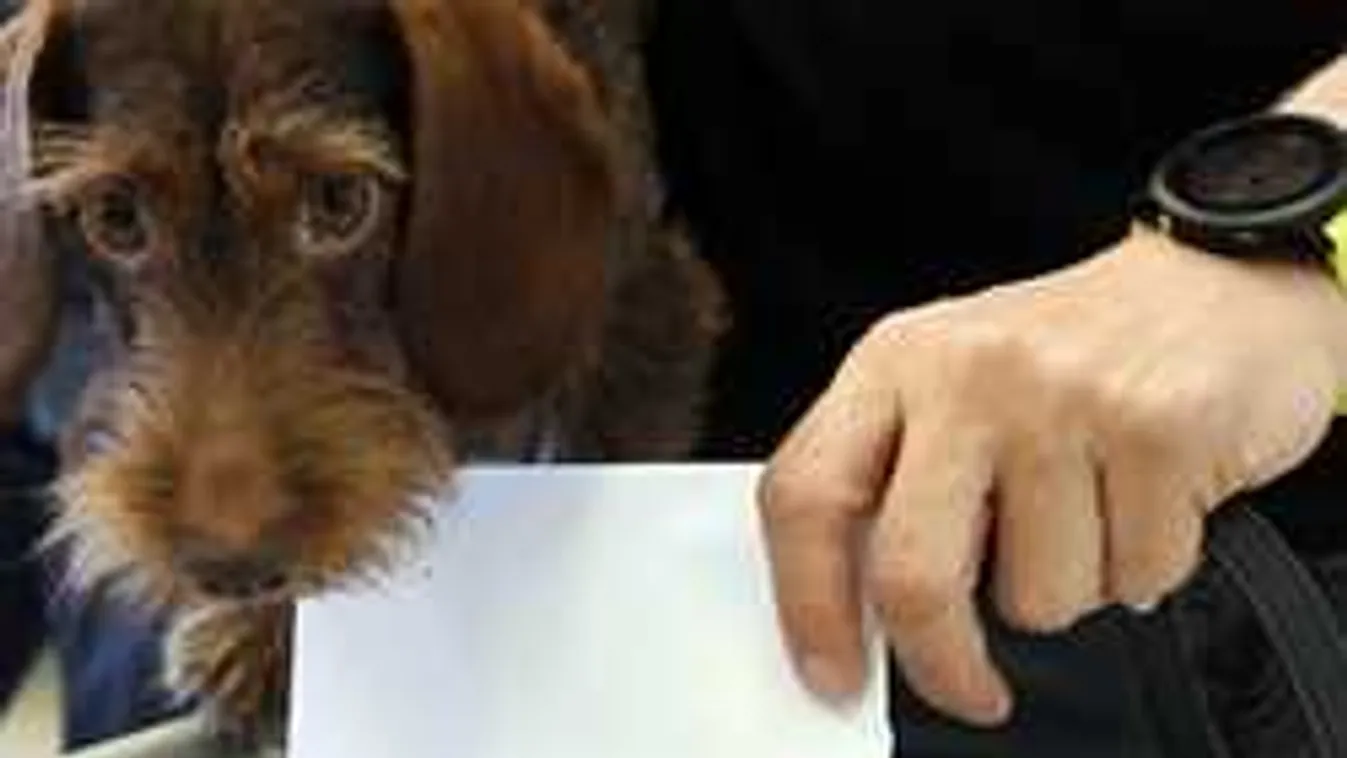 Íme a legfrissebb adat: 3,3 millióan már szavaztak, 42 százalék feletti a részvételi arány