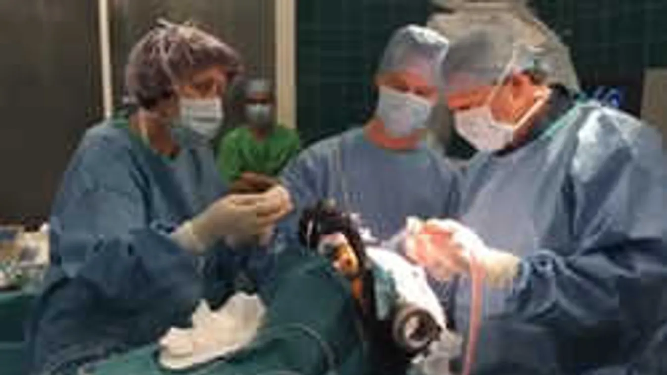 Agyműtét élőben: így érzi magát a megoperált magyar férfi