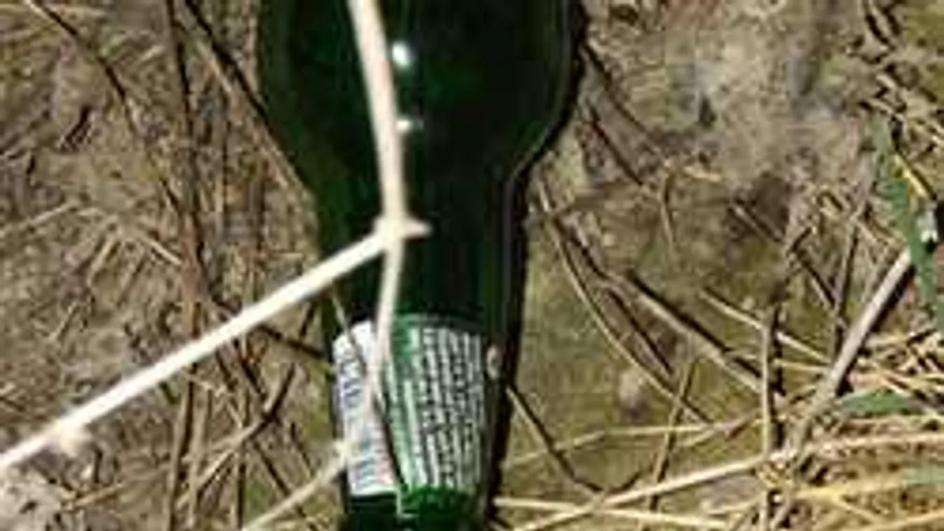 Elképesztő, mire volt képes egy sörért