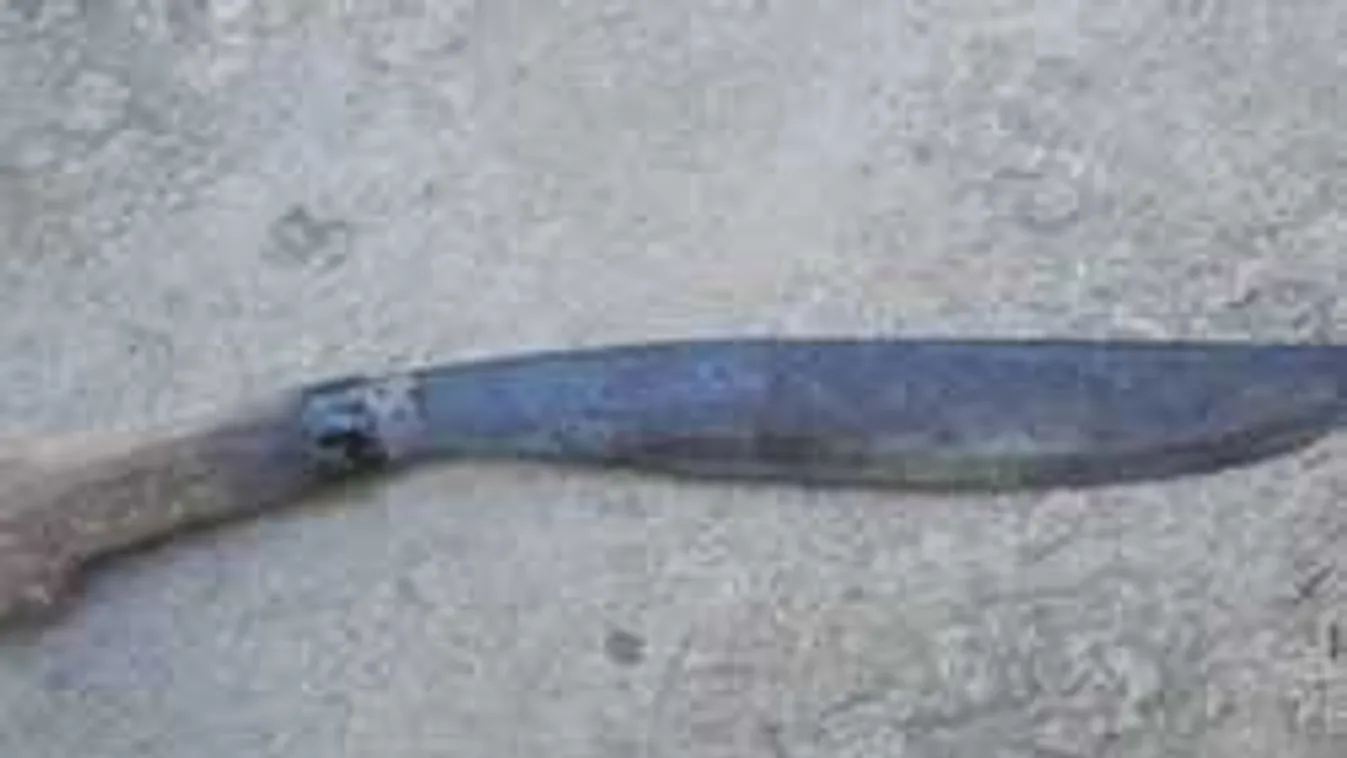 Kilencszeresére nőtt a machetés támadások aránya 3 év alatt!!