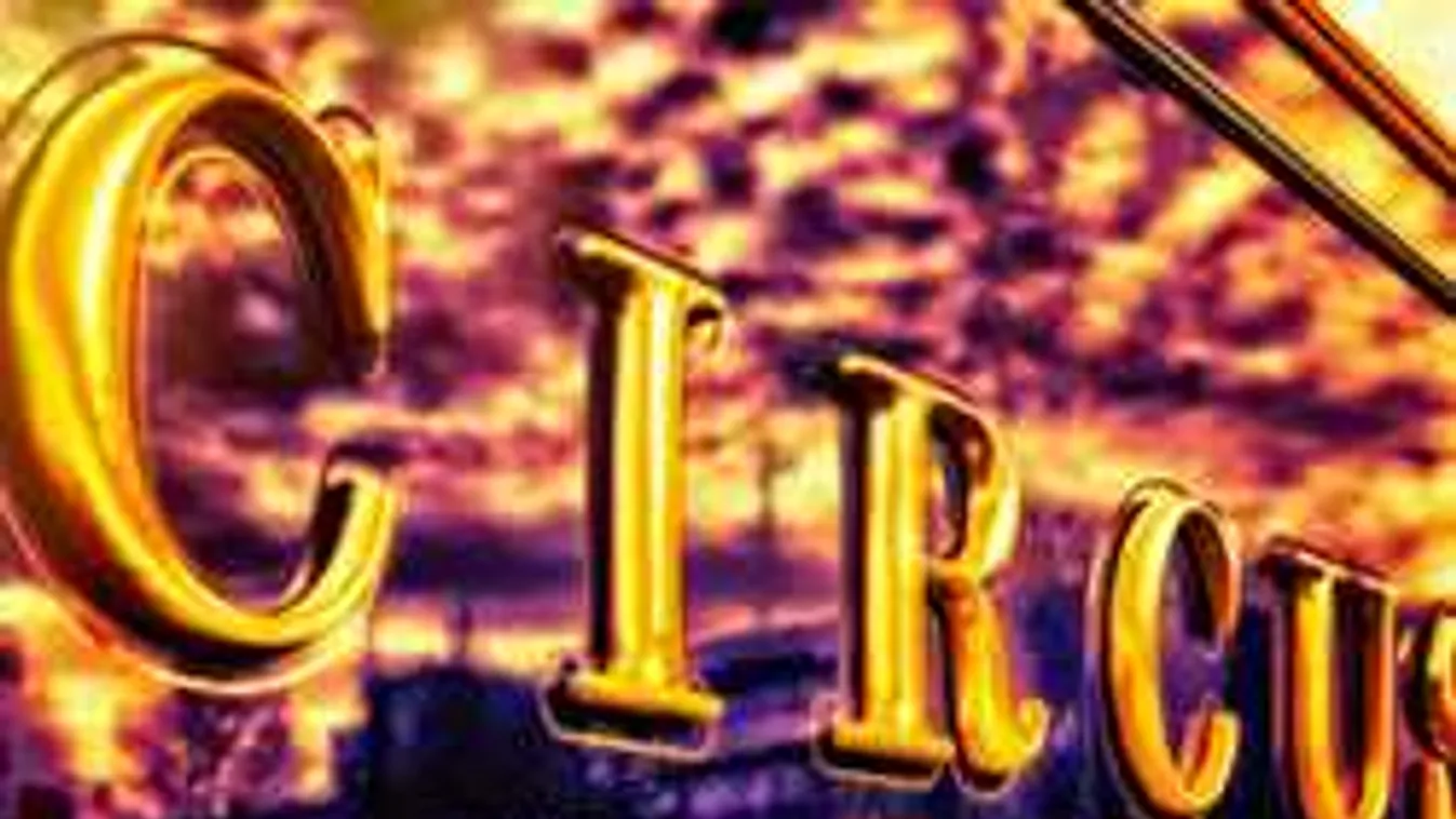 Megfagyott a levegő, a közönség előtt zuhant mélybe a művész +18 videó