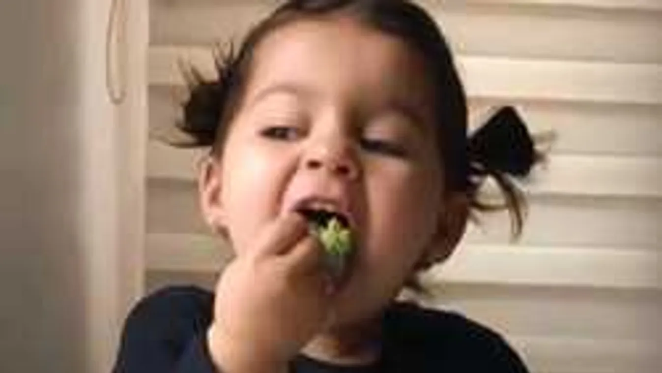 Még hogy a gyerekek utálják a zöldséget! - Videó