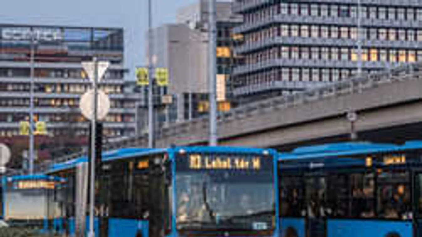 Késsel és viperával támadta meg egymást két magyar buszsofőr