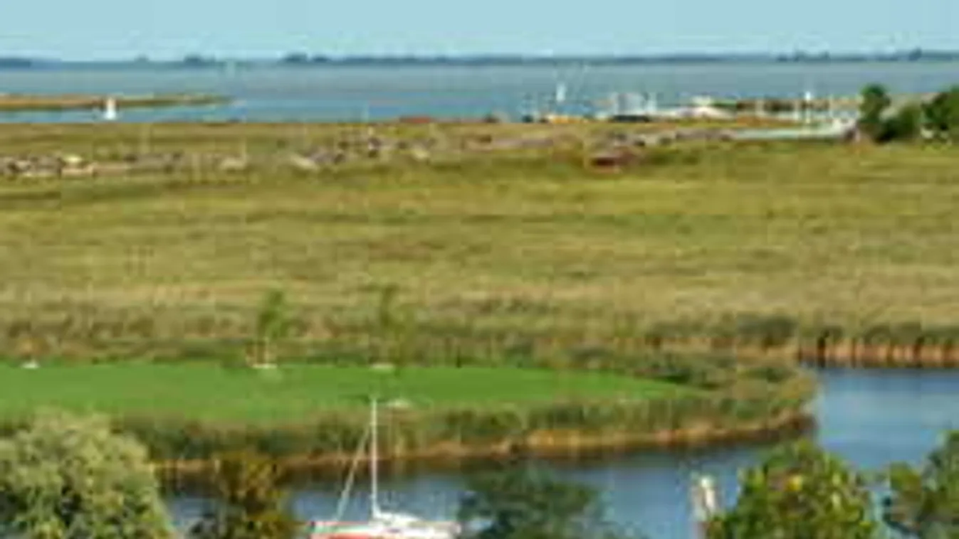 Szörnyű részleteket árult el a Fertő tóba dobott, feldarabolt lány édesanyja