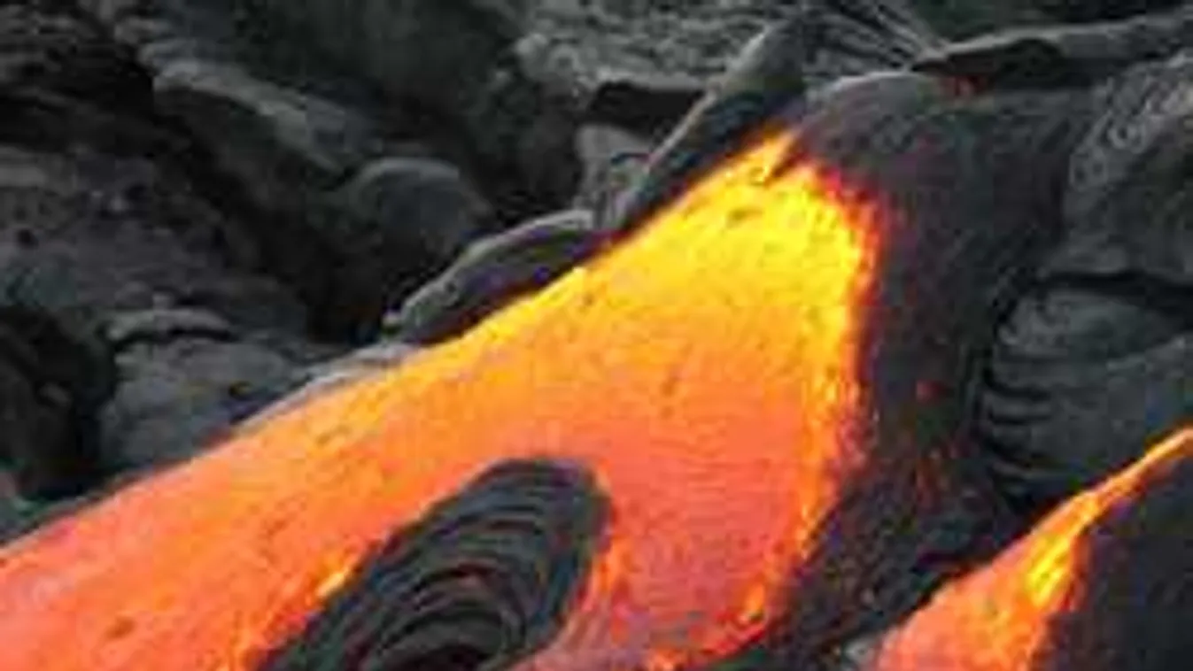 Iszonyat, mi lepte el a lakók kertjét, csak a csodában bízhatnak