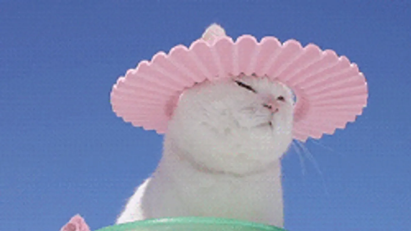 Élvezd ki a nagy meleget, már közeleg az év lehűlése