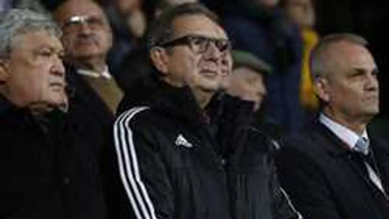 Hoppá, új állással szemez Georges Leekens